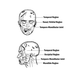 Illustration for article titled Your Guide To Killing Zombies